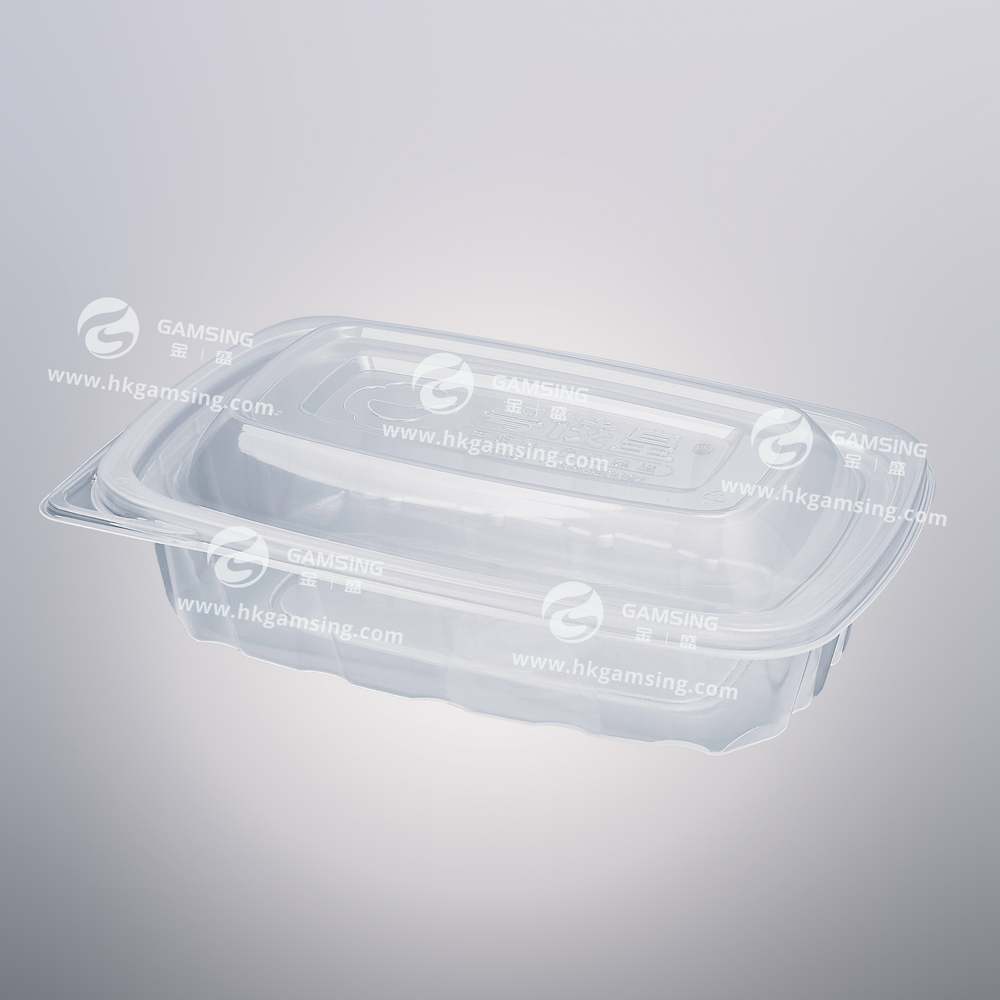 1000ml PP Plastic Rectangular Takeout Food Container With Lid - Version 2 post feature image