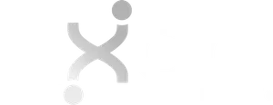Axones Executive