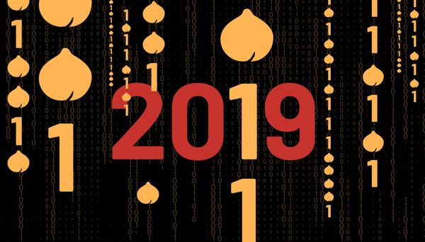 Salsita 2019: A Million Lines of Code and 90 Kilos of Hummus