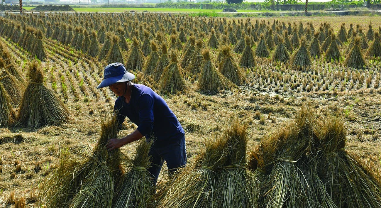 《神人之家》劇照