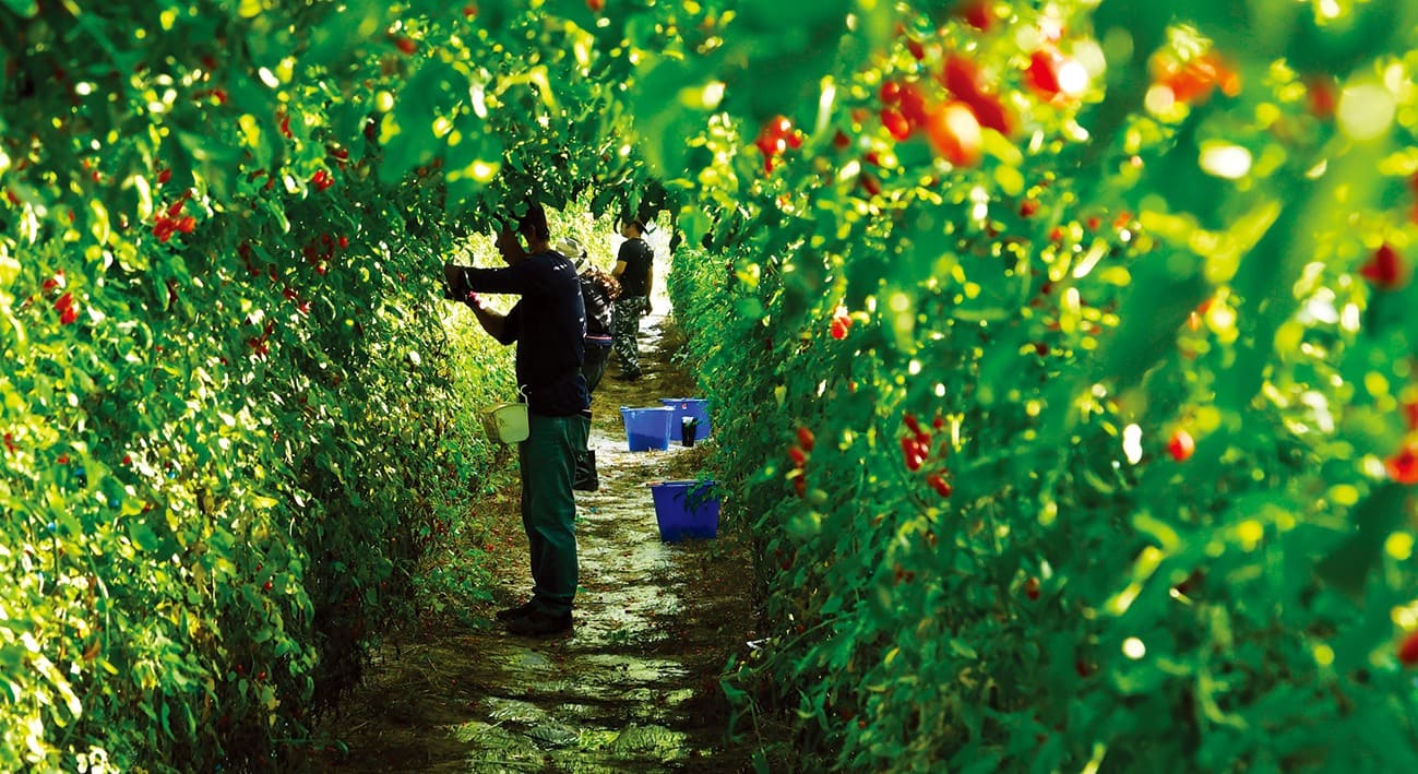 《神人之家》劇照