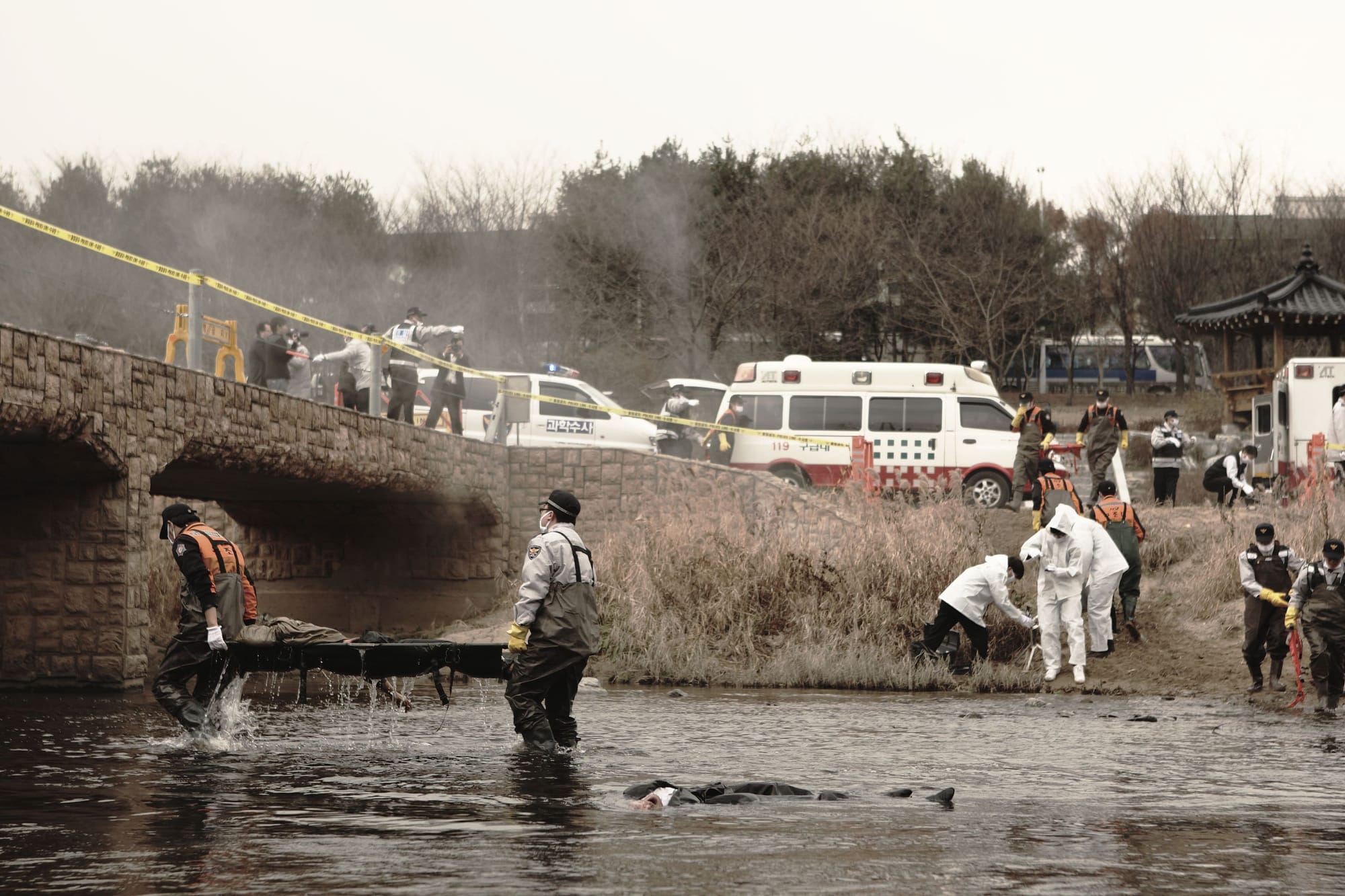 《鐵線蟲入侵》劇照