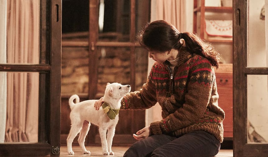 《小森林》劇照