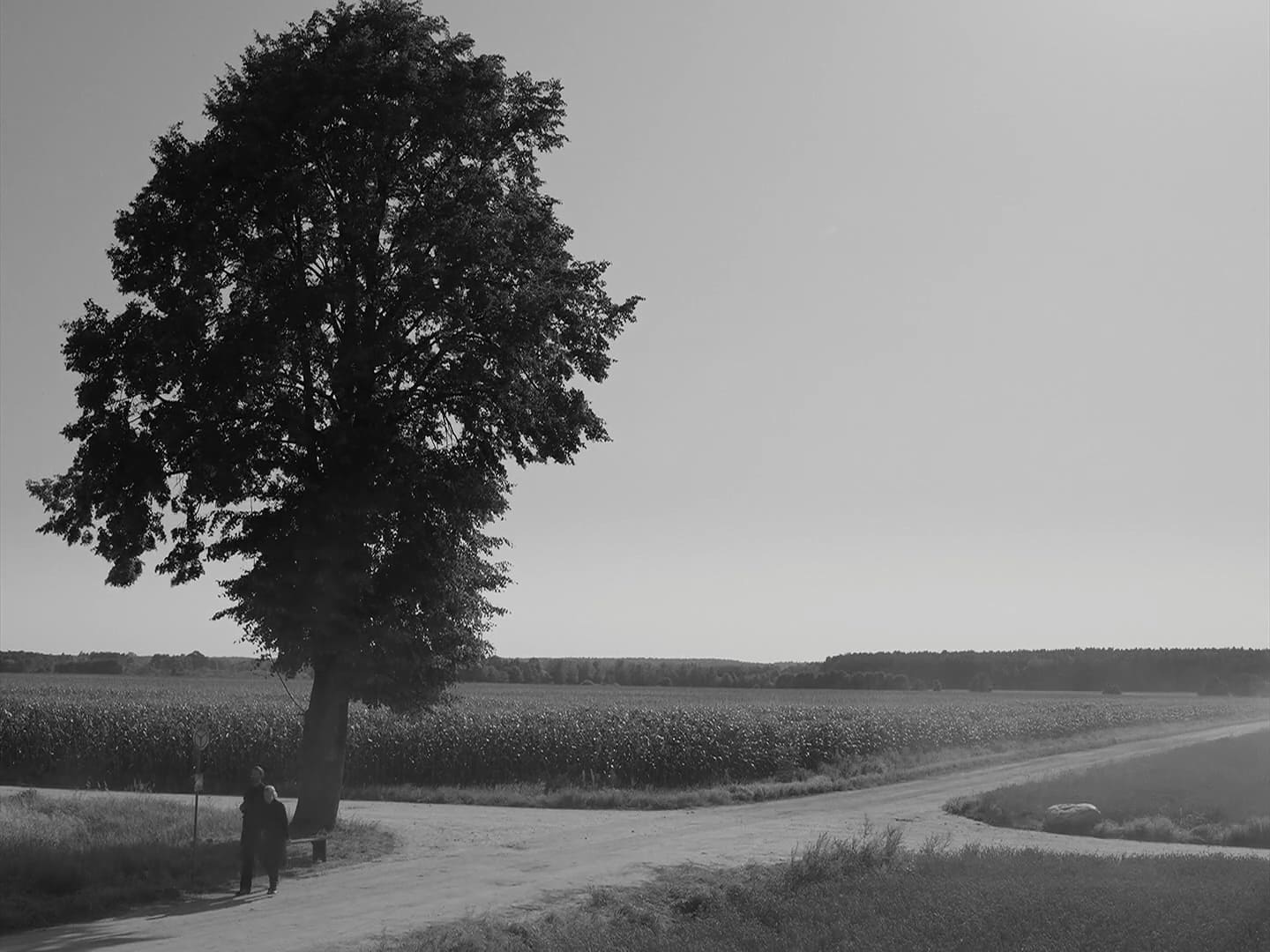 《沒有煙硝的愛情》劇照