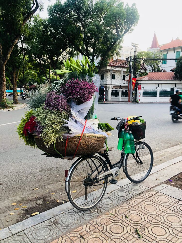 Presales, Equilibrist between Science and Art