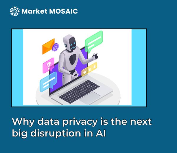 Why data privacy is the next big disruption in AI