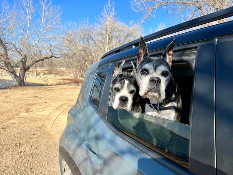 Everything is Wonderful