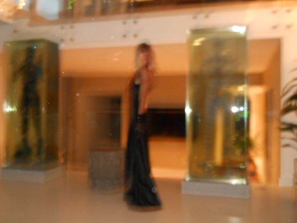 Kara Hobby in a long black dress, photographed out of focus behind glass