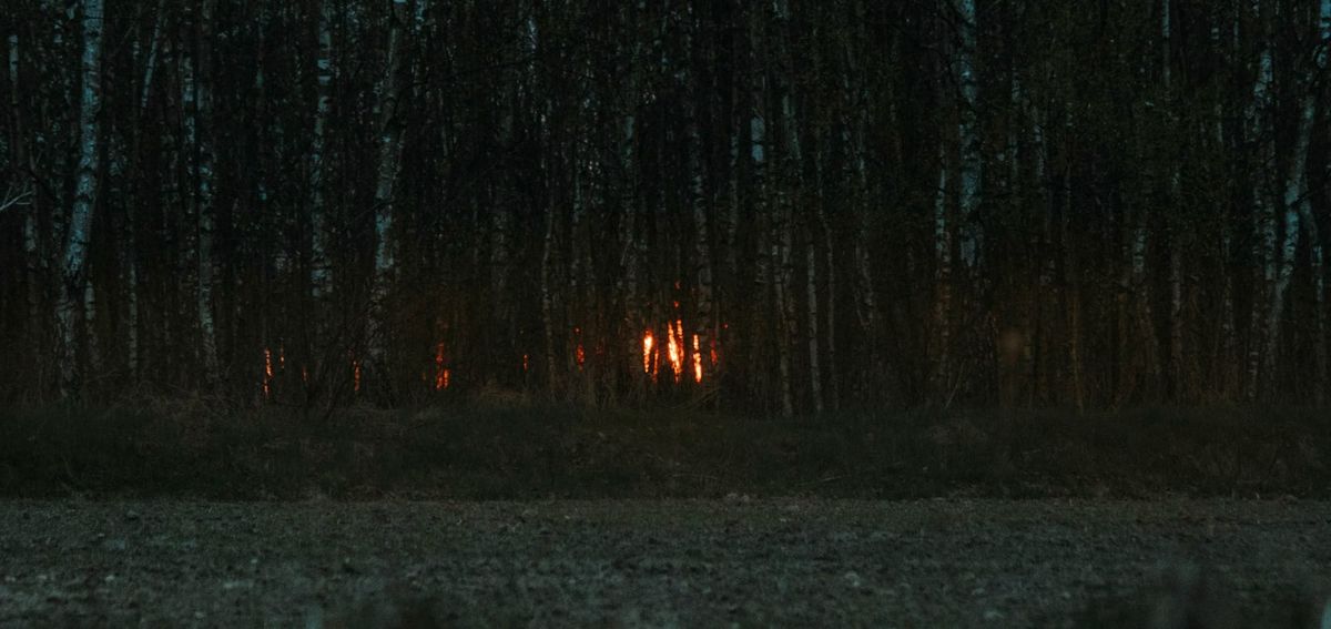 The glow of a campire can be seen glowing from the gaps between the trees in the forest