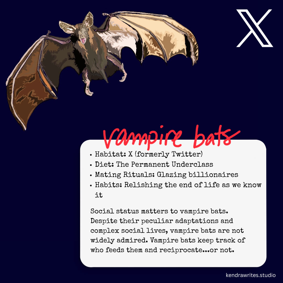 an illustration of a bat with a satirical field guide description