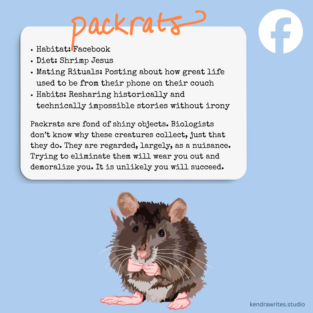 an illustration of a packrat with a satirical field guide description
