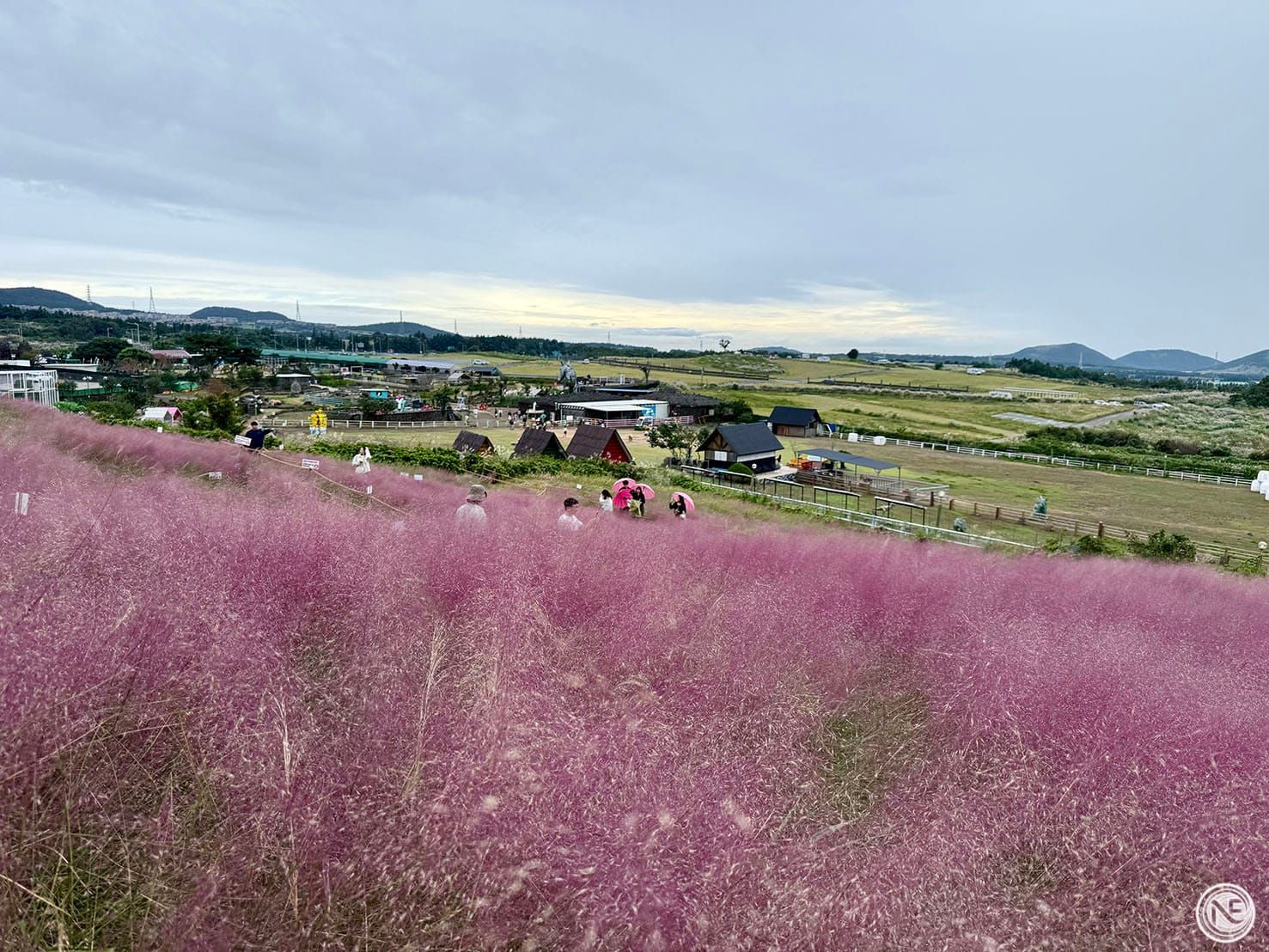 【韓國濟州島】景點美食行程推薦-上
