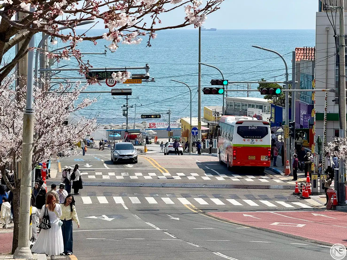 【韓國】釜山大邱必訪景點推薦