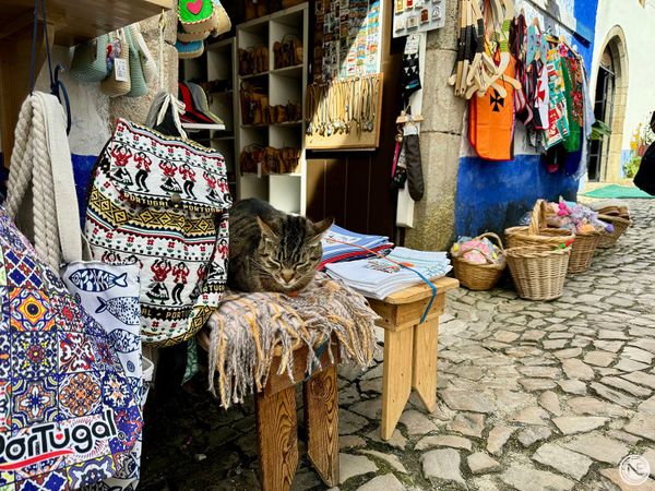 【葡萄牙里斯本】舊城區 × Óbidos