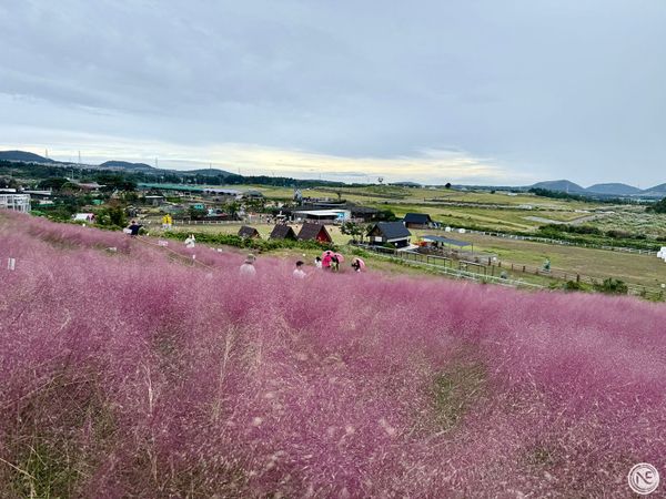 【韓國濟州島】景點美食行程推薦-上