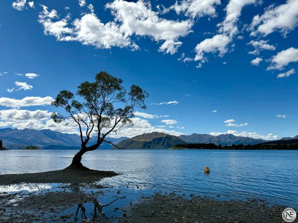 【紐西蘭南島】Wānaka × 庫克山
