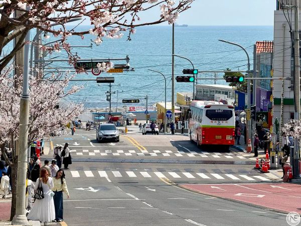 【韓國】釜山大邱必訪景點推薦