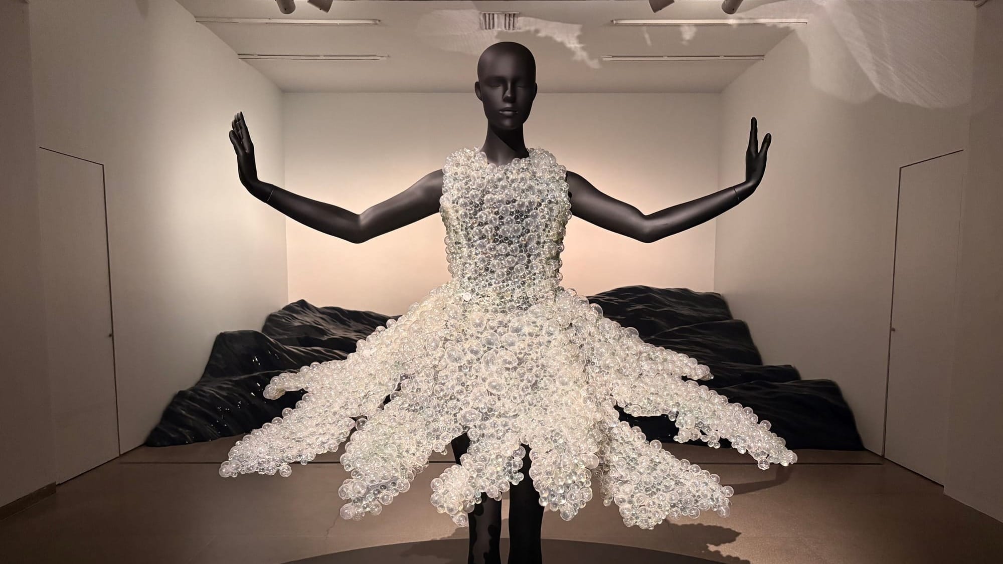 Seeing Slowly With Iris Van Herpen