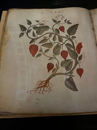 Archivárky na cestách a Cesty Čínou vo februári 2026