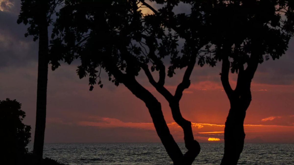 Reflecting on managers; Smart Home products