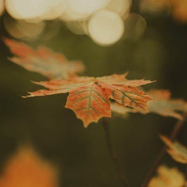 AI Topics, broad and focused