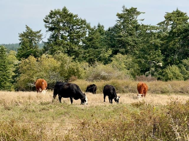 Agents and other topics