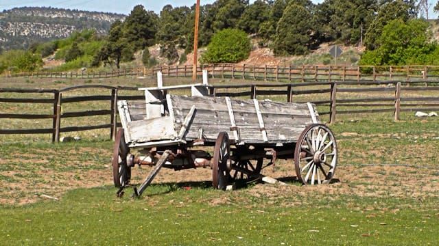 Putting the strategy cart in front of the customer horse