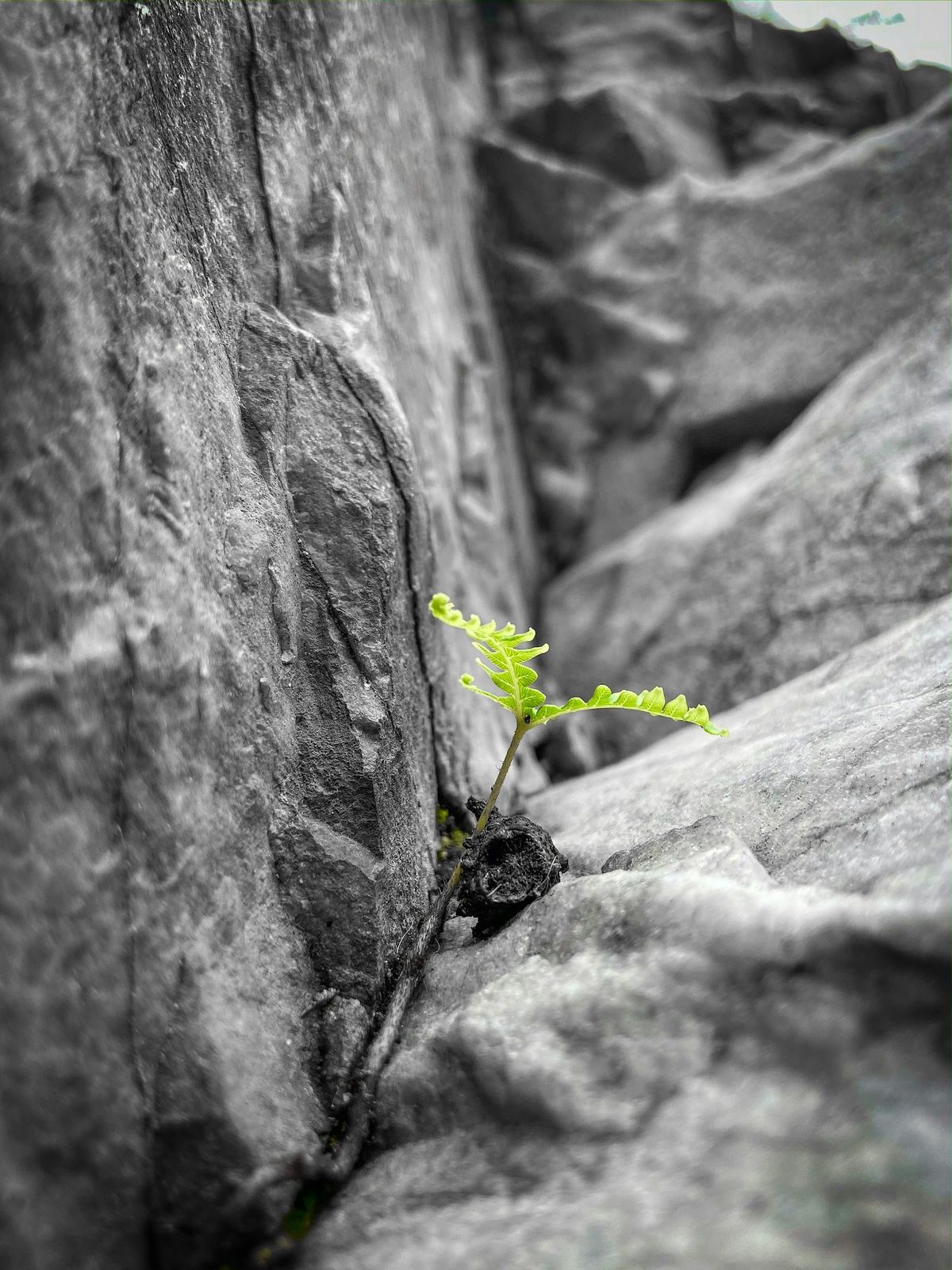 Small Steps