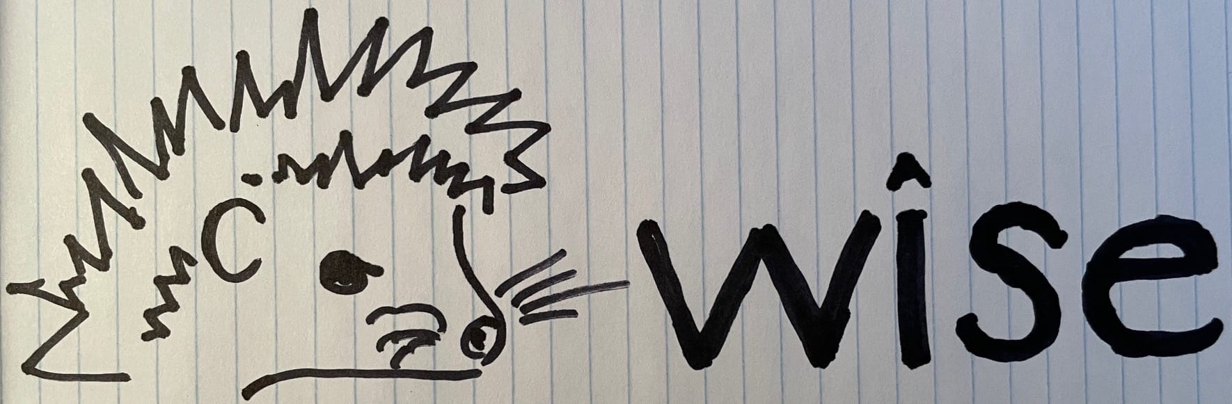 Hedgewise.AI logo hand-drawn sketch. 