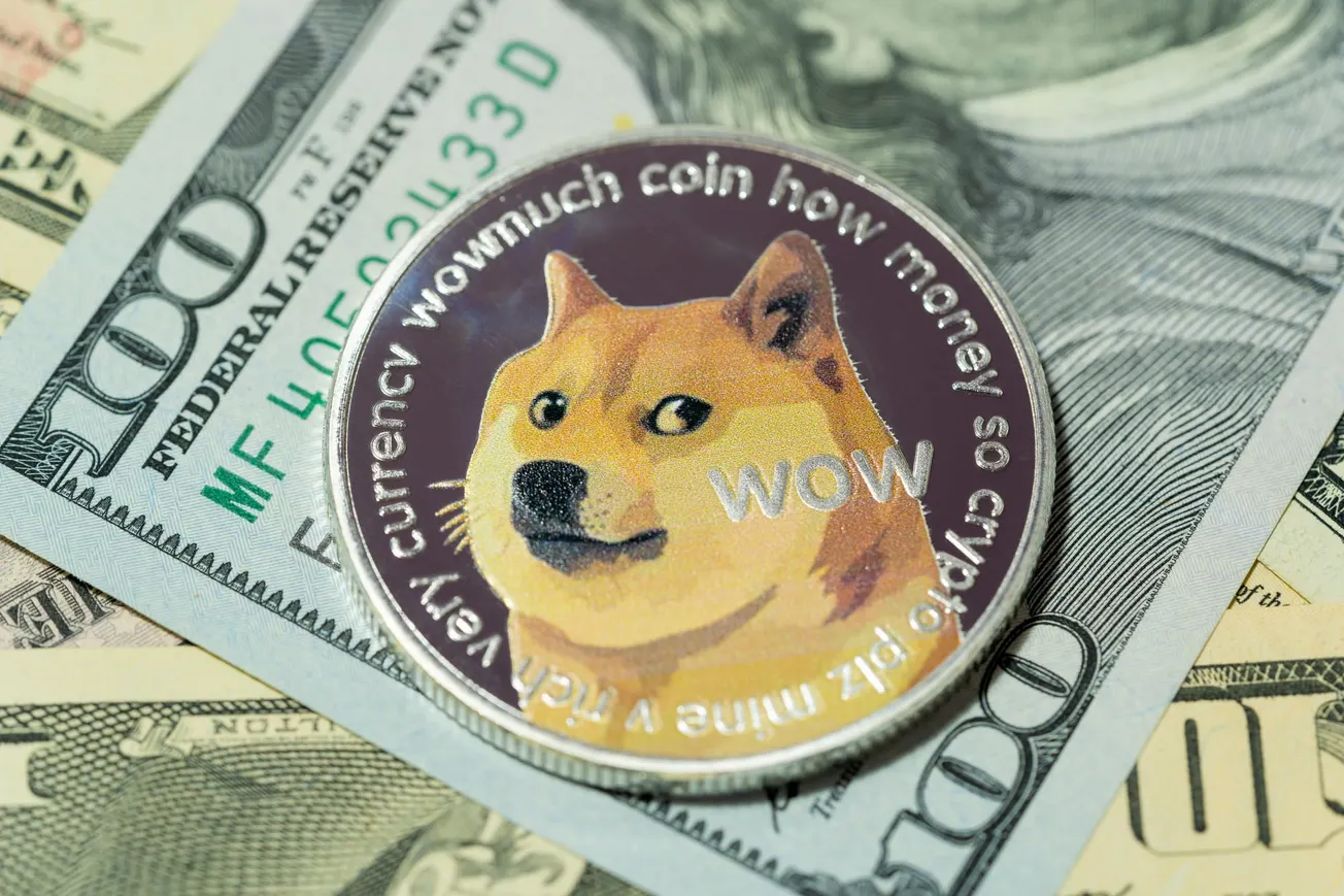 Tarvitaanko Suomeen oma DOGE virasto?
