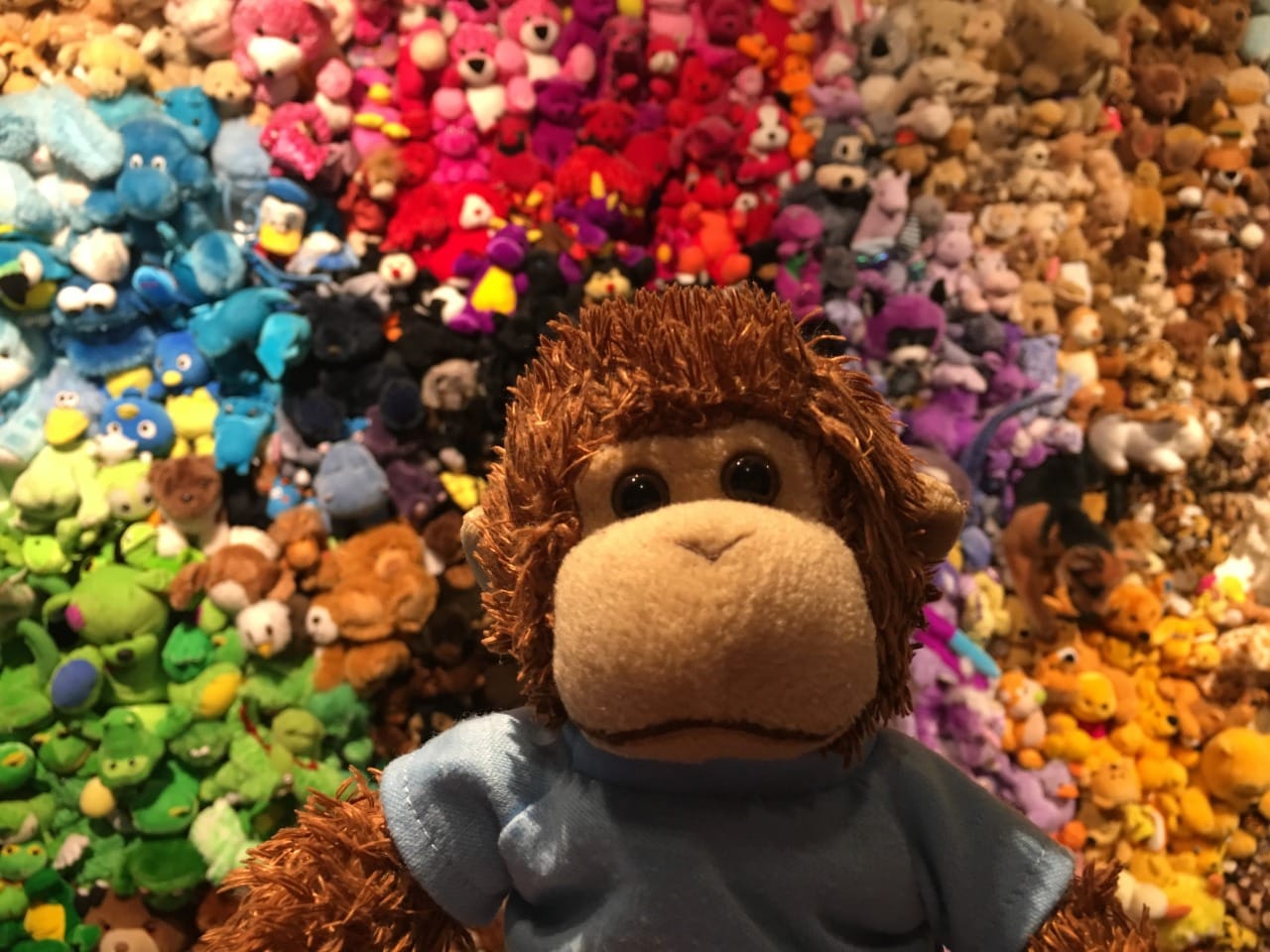 Bob enjoys an art installation