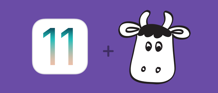 iOS 11 update