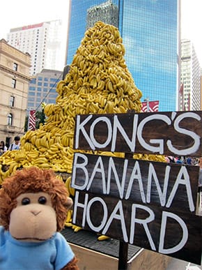 Banana hoard discovered!