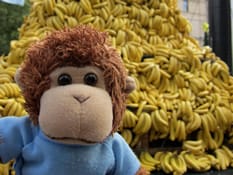 Bob keeps track of produce, especially bananas