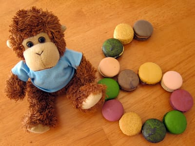 Bob celebrates our 6th birthday with macarons