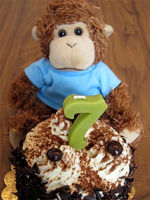 Bob T. Monkey celebrates birthday #7