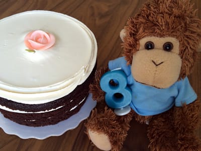 Bob T. Monkey celebrates birthday #8