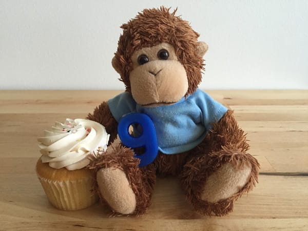 Bob T. Monkey celebrates birthday #9