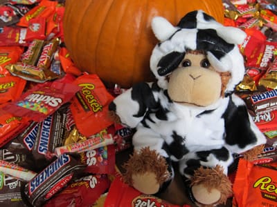 Bob scored a lot of noms for one small monkey-cow