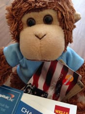 Bob contemplates his credit card limits