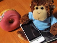 Bob celebrates the Donut launch