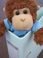 Bob gets into his filing