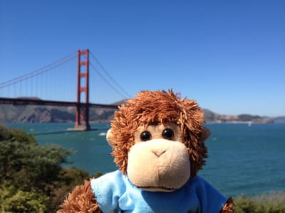 Bob explores his new home of San Francisco
