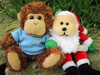 Bob and a holiday friend