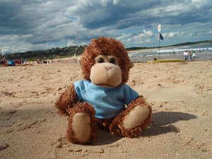 Bob at the beach for Monkey Day