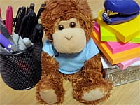 These office supplies make me look busy, right?