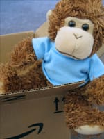 Bob discovers what he ordered online