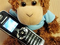 Bob requires a phone for this task
