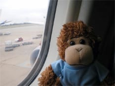 Bob's a frequent flyer
