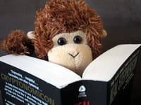 Bob catches up on his reading